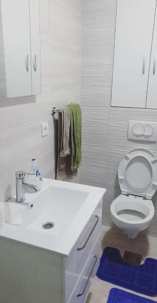 Апартаменты Apartman Savić Бар Апартаменты с 1 спальней-3